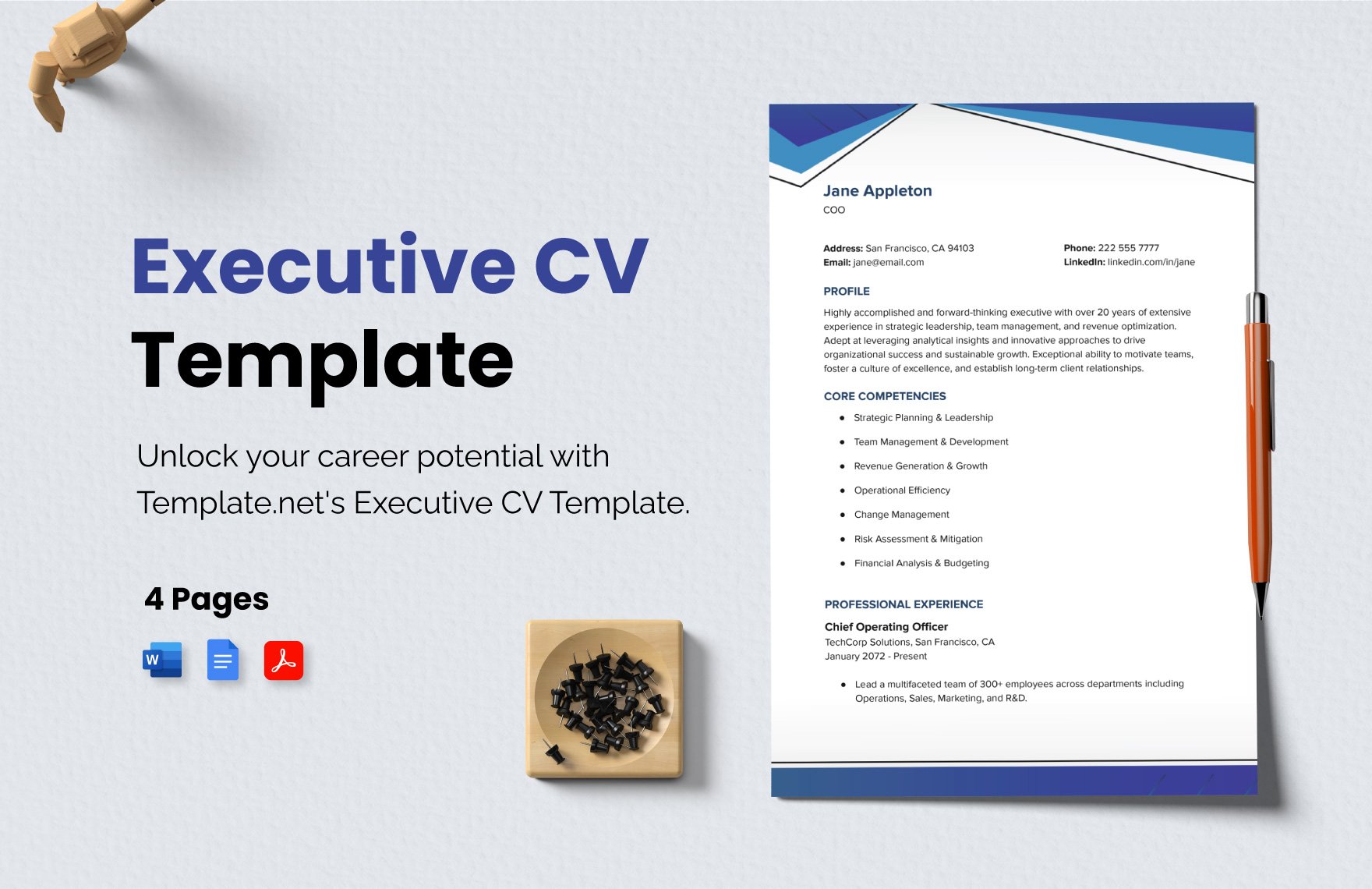 Executive CV Template 