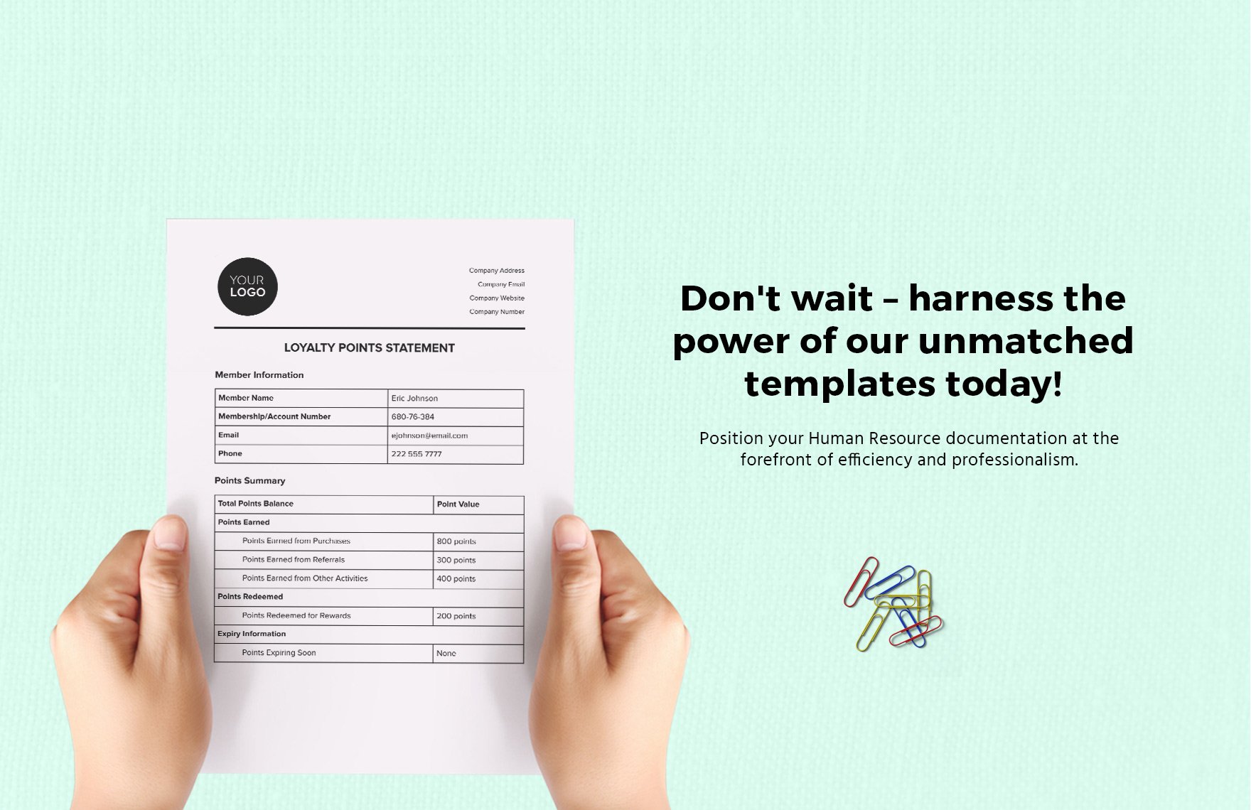 Loyalty Points Statement HR Template