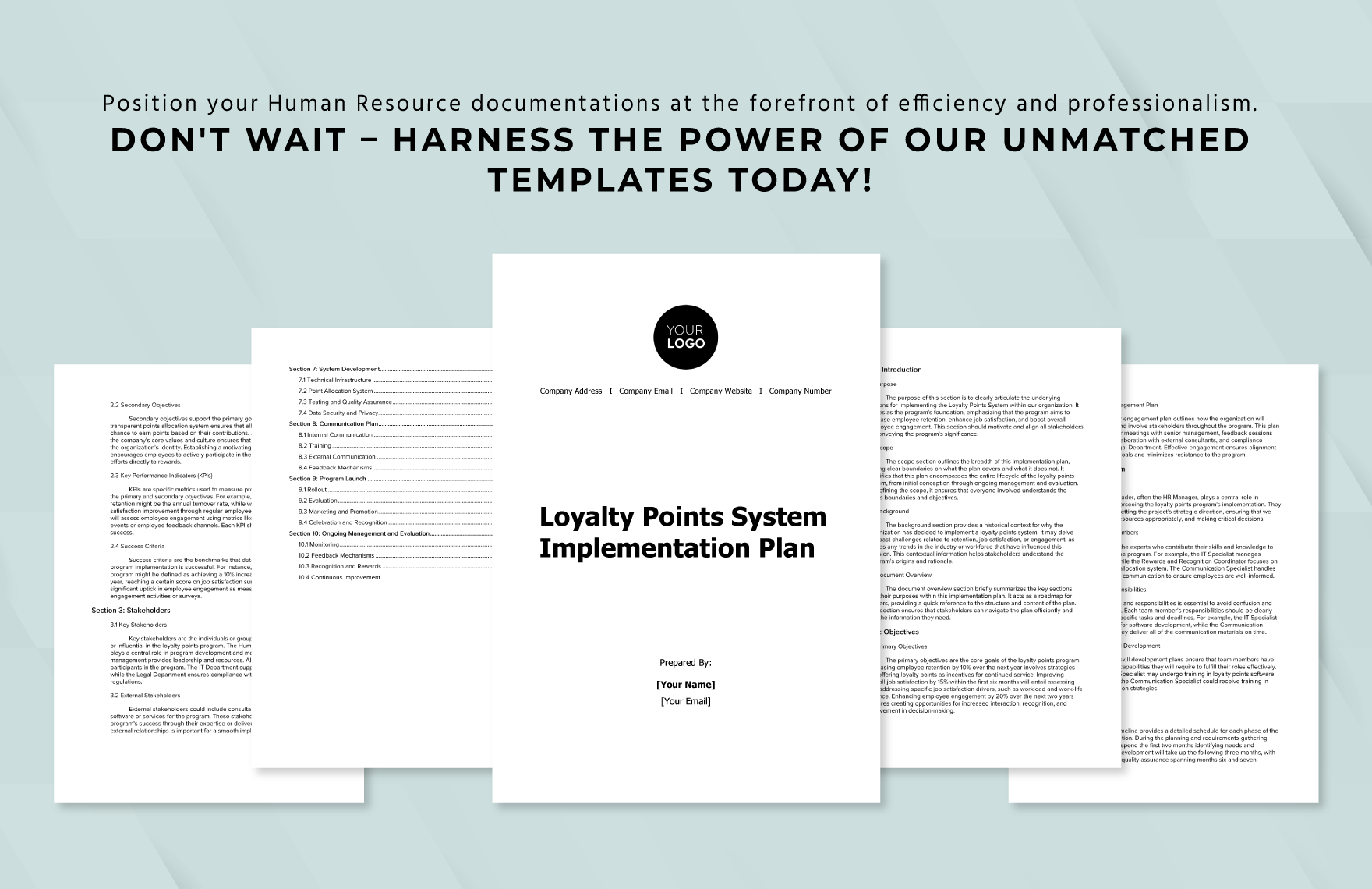 Loyalty Points System Implementation Plan HR Template