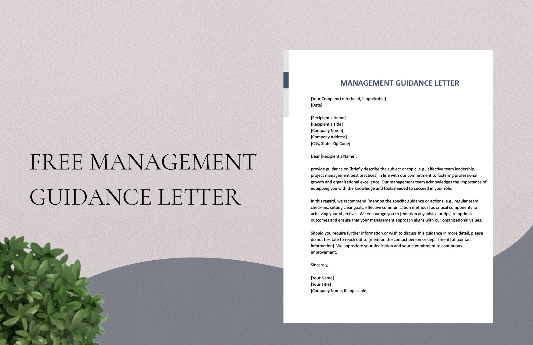 Management Guidance Letter