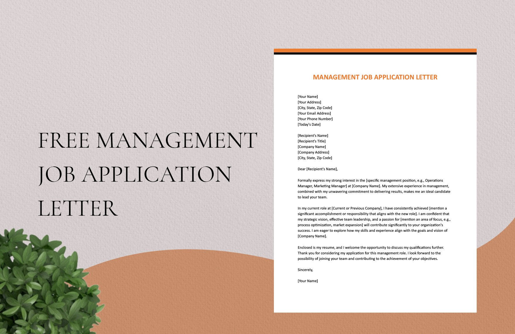 management job application letter
