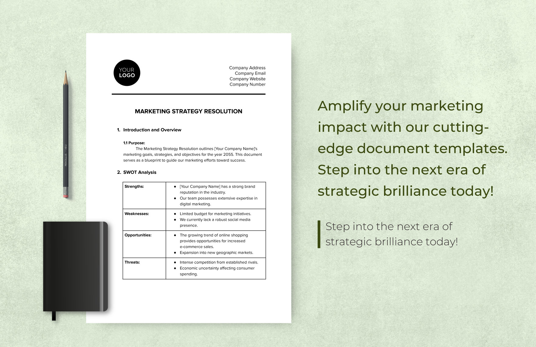 Marketing Strategy Resolution Template
