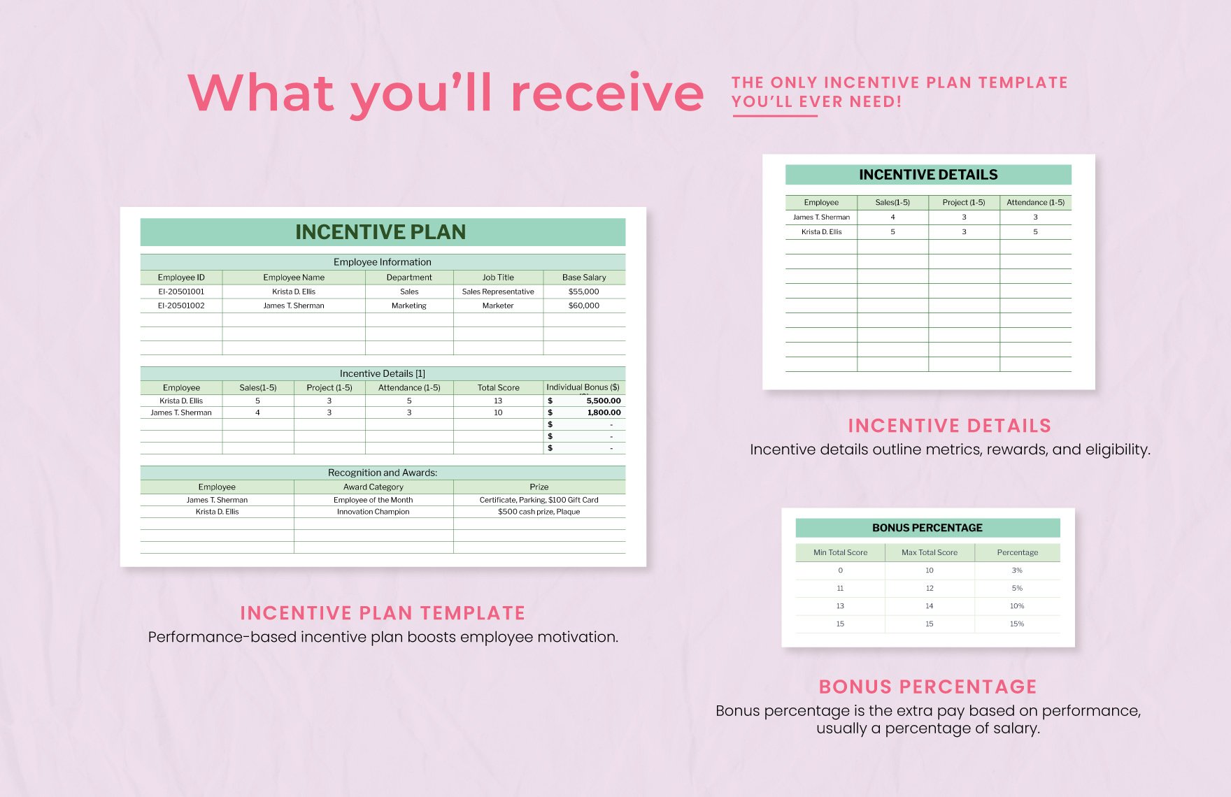 Incentive Plan Template
