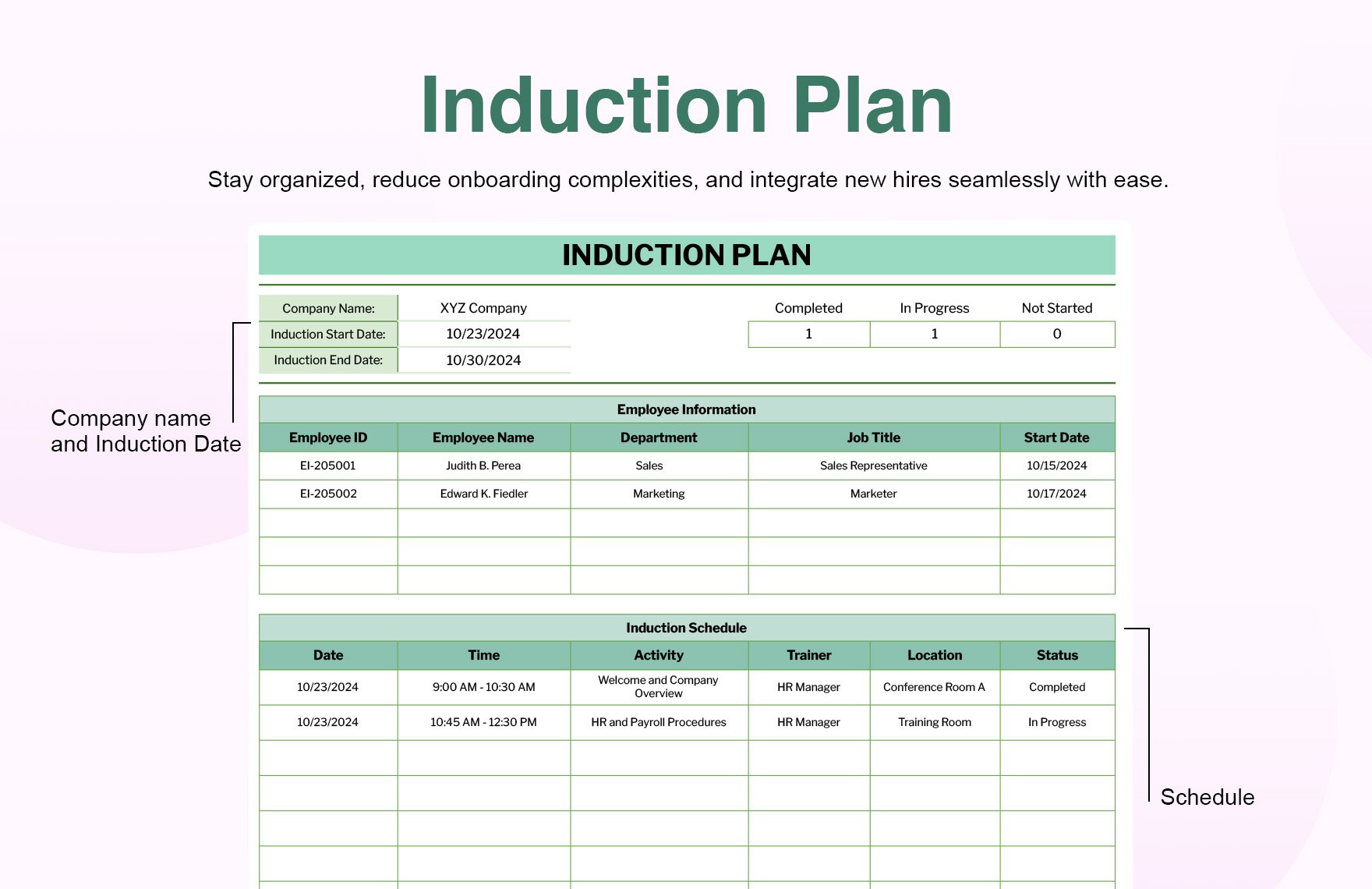 Induction Plan Template