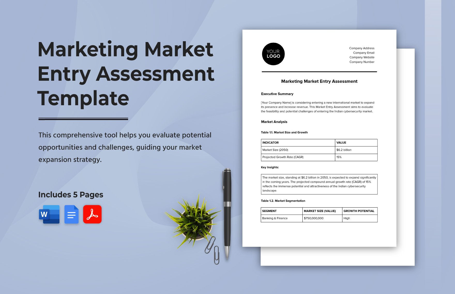 Marketing Market Entry Assessment Template 