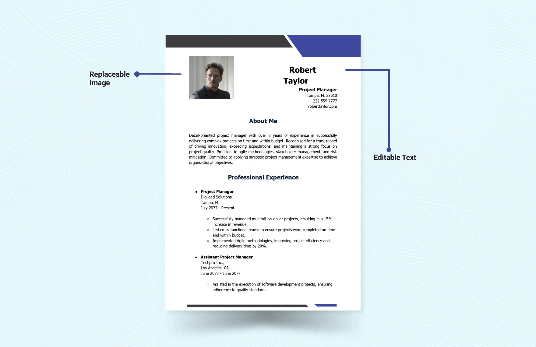 Project Manager CV Template 