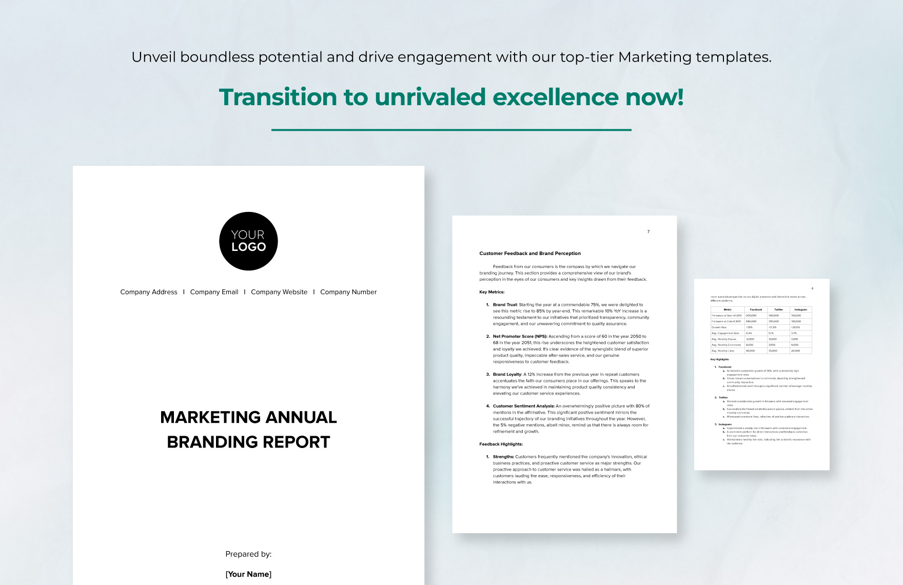 Marketing Annual Branding Report Template