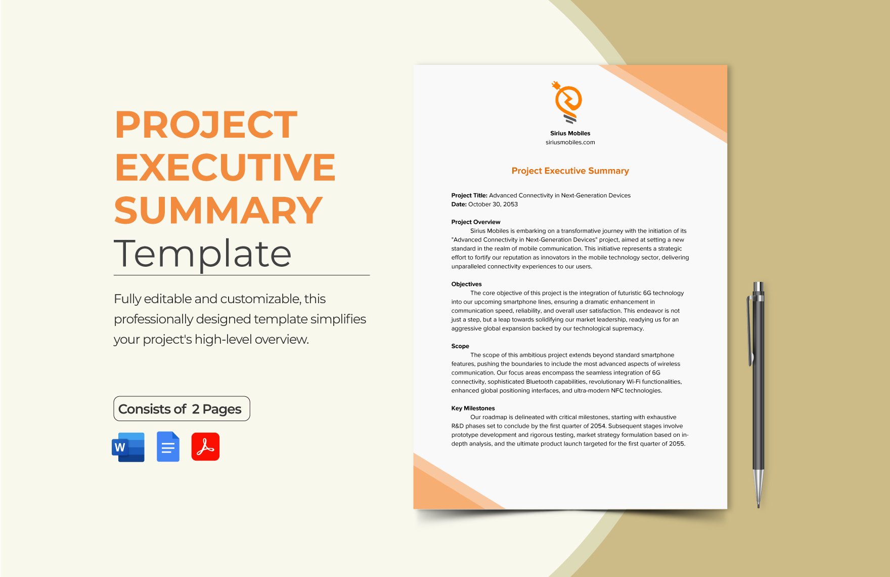 Project Executive Summary Template