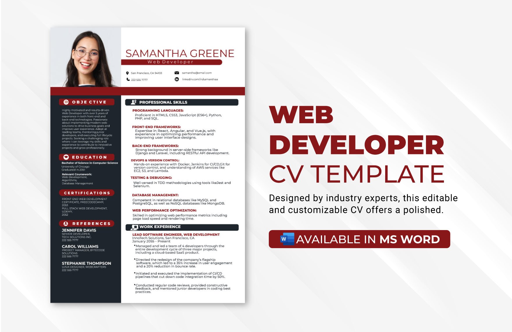Web Developer CV Template 