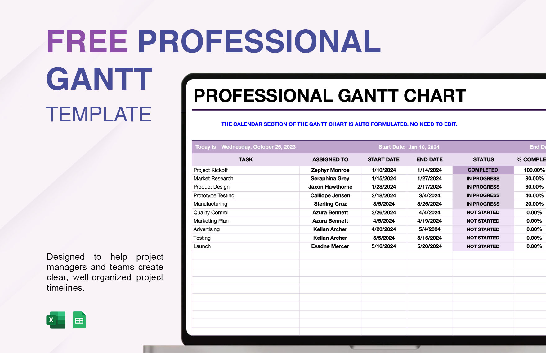 Professional Gantt Template