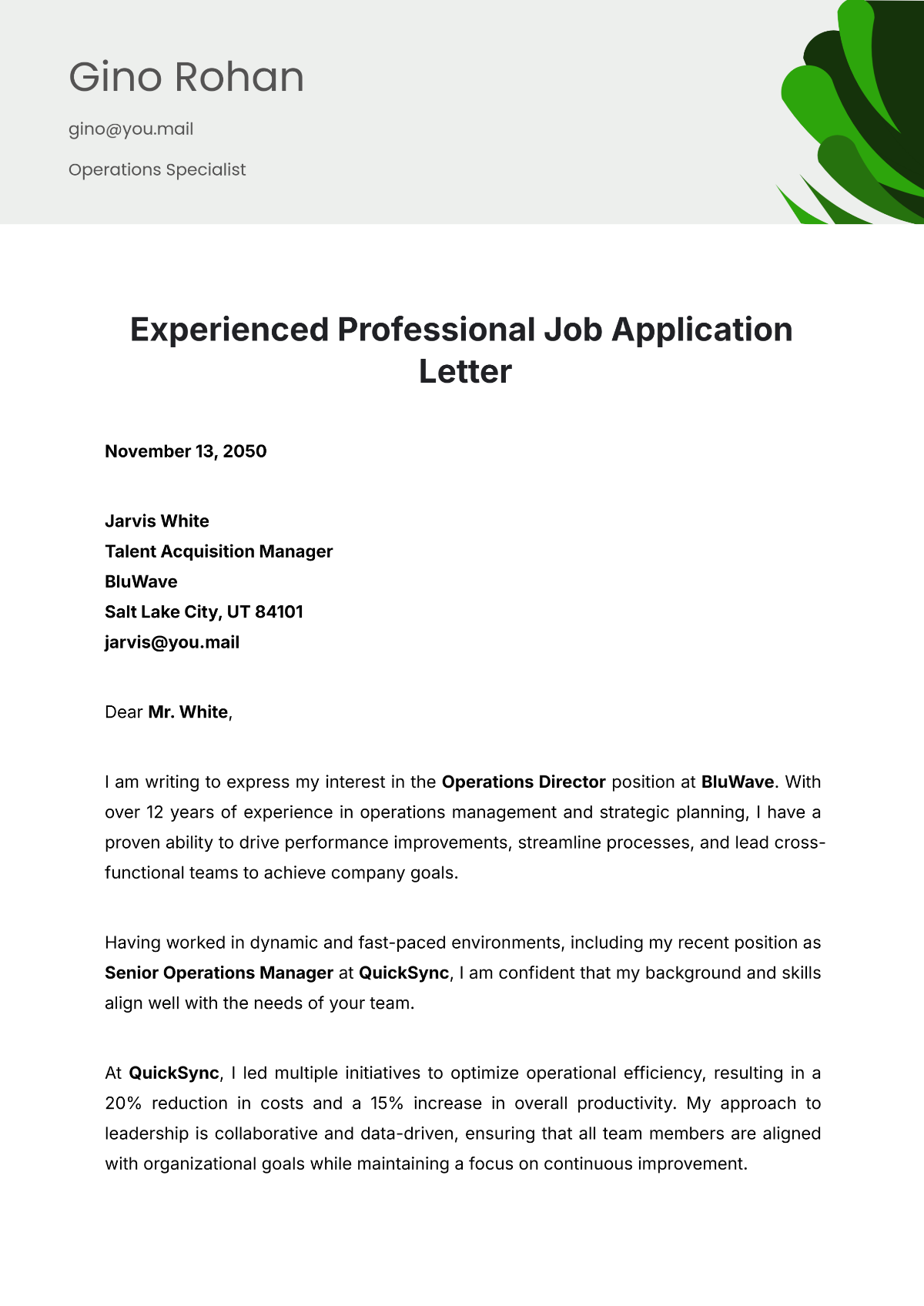 Experienced Professional Job Application Letter Template - Edit Online & Download