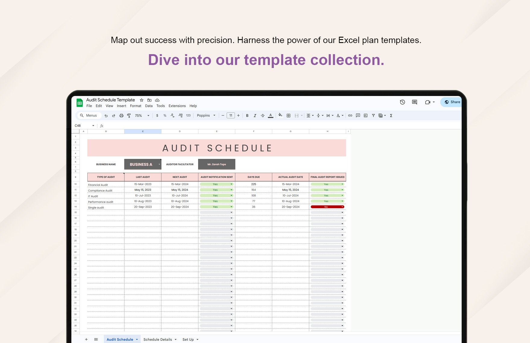 Audit Schedule Template - Download in Excel, Google Sheets | Template.net