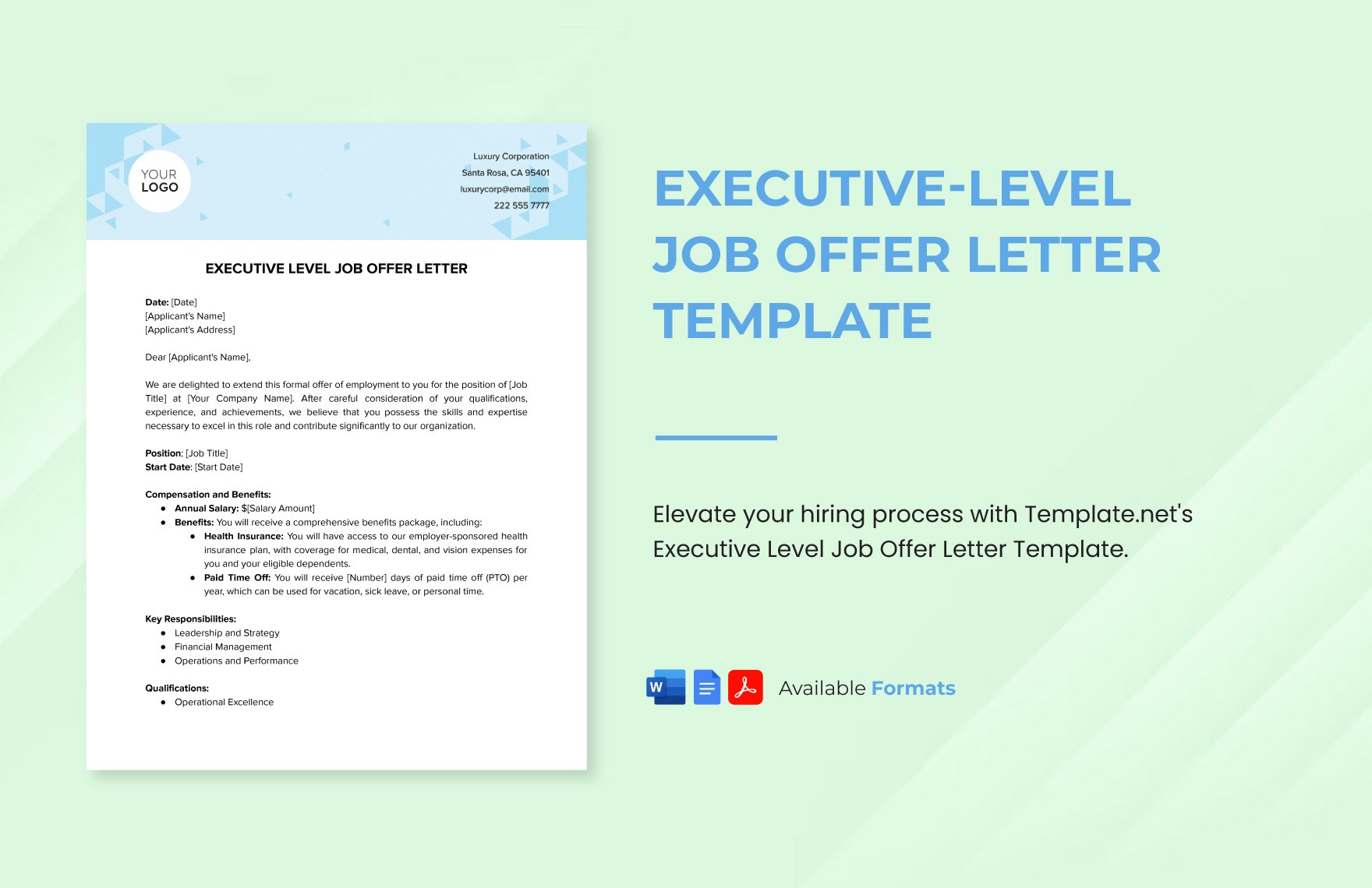 Executive-Level Job Offer Letter Template in Word, Google Docs, PDF