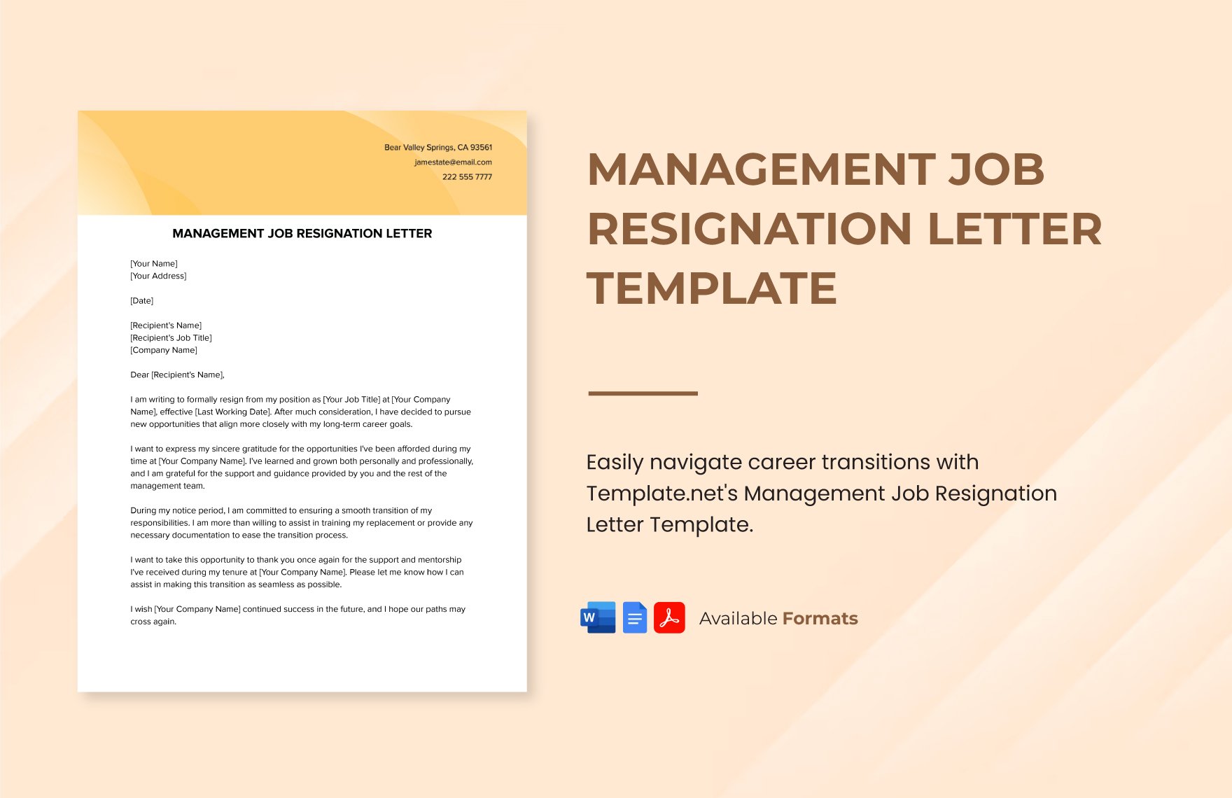 Management Job Resignation Letter Template