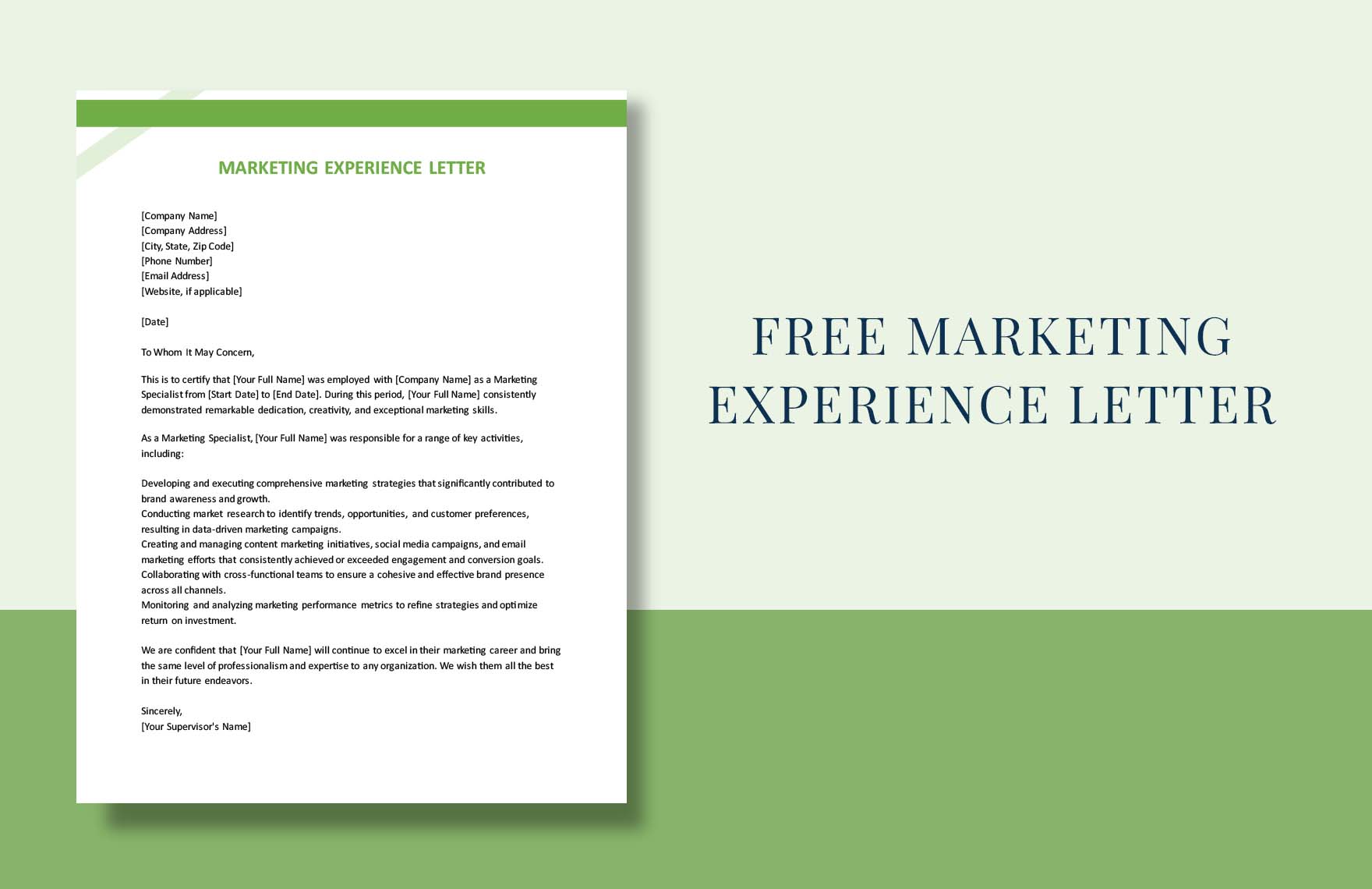 Marketing Experience Letter