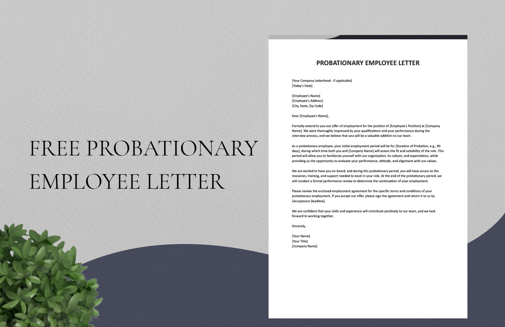 Probationary Employee Letter in Word, Google Docs