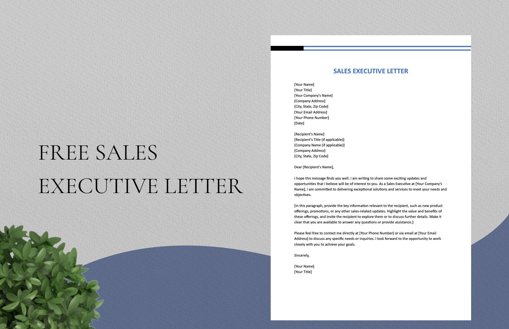 Sales Executive Letter