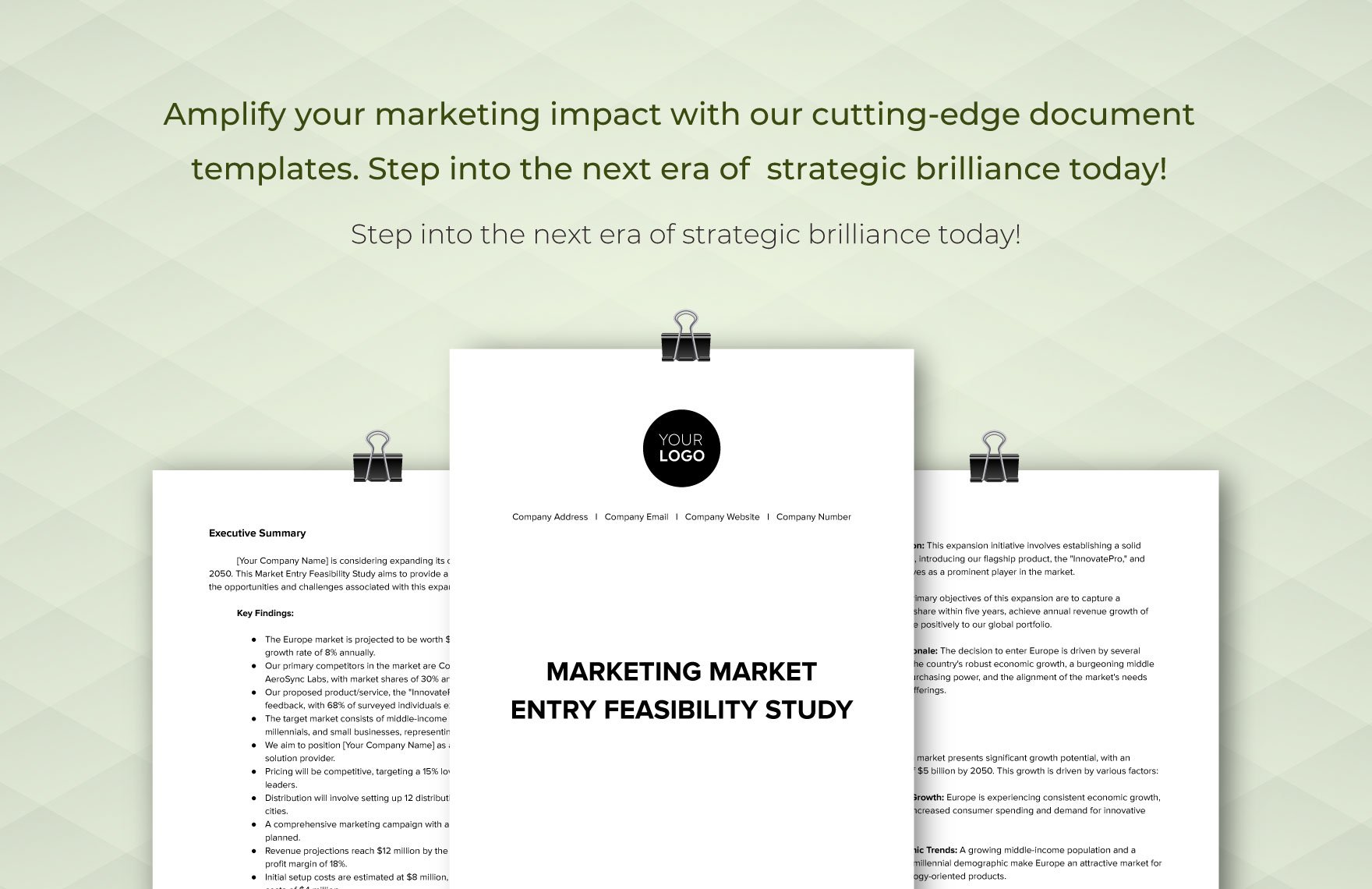 Marketing Market Entry Feasibility Study Template