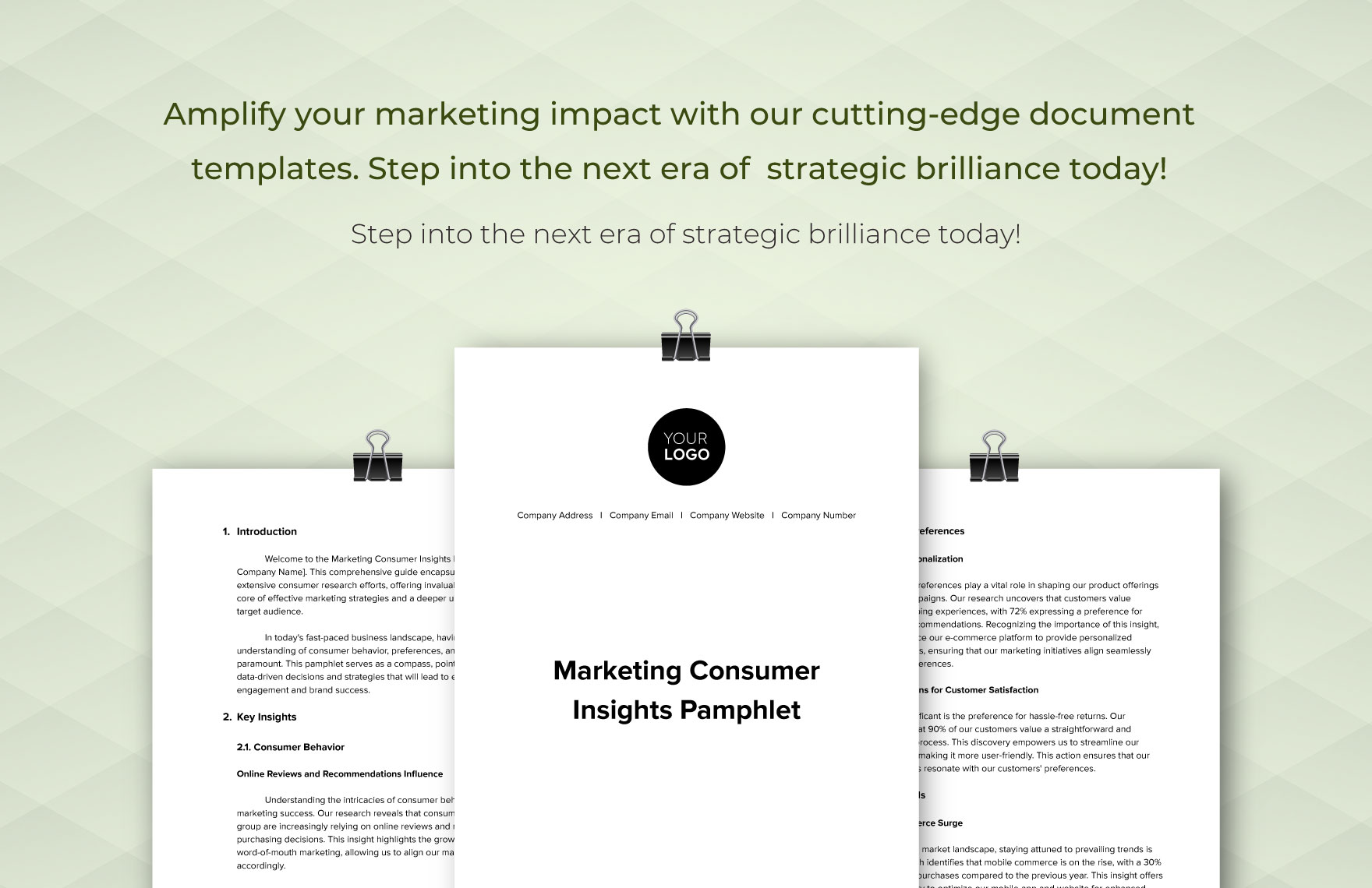 Marketing Consumer Insights Pamphlet Template