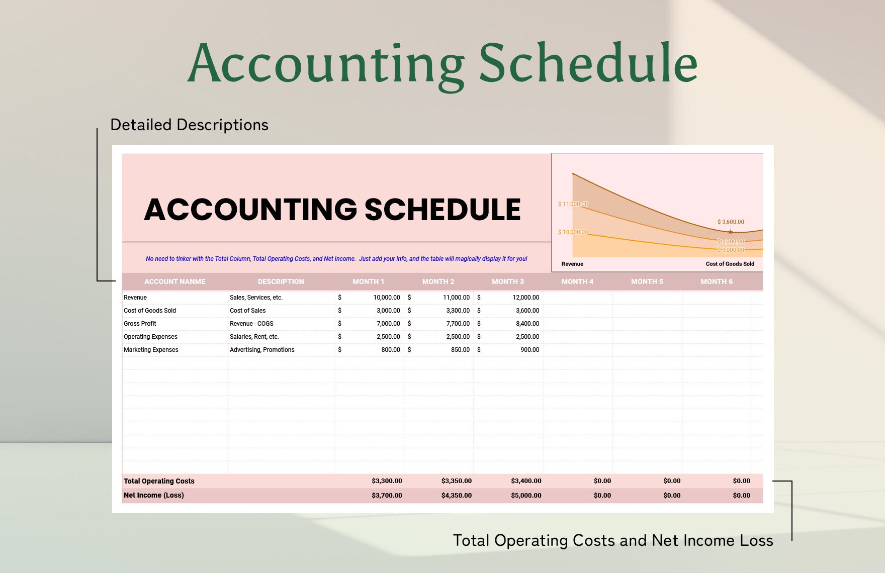 Accounting Schedule Template