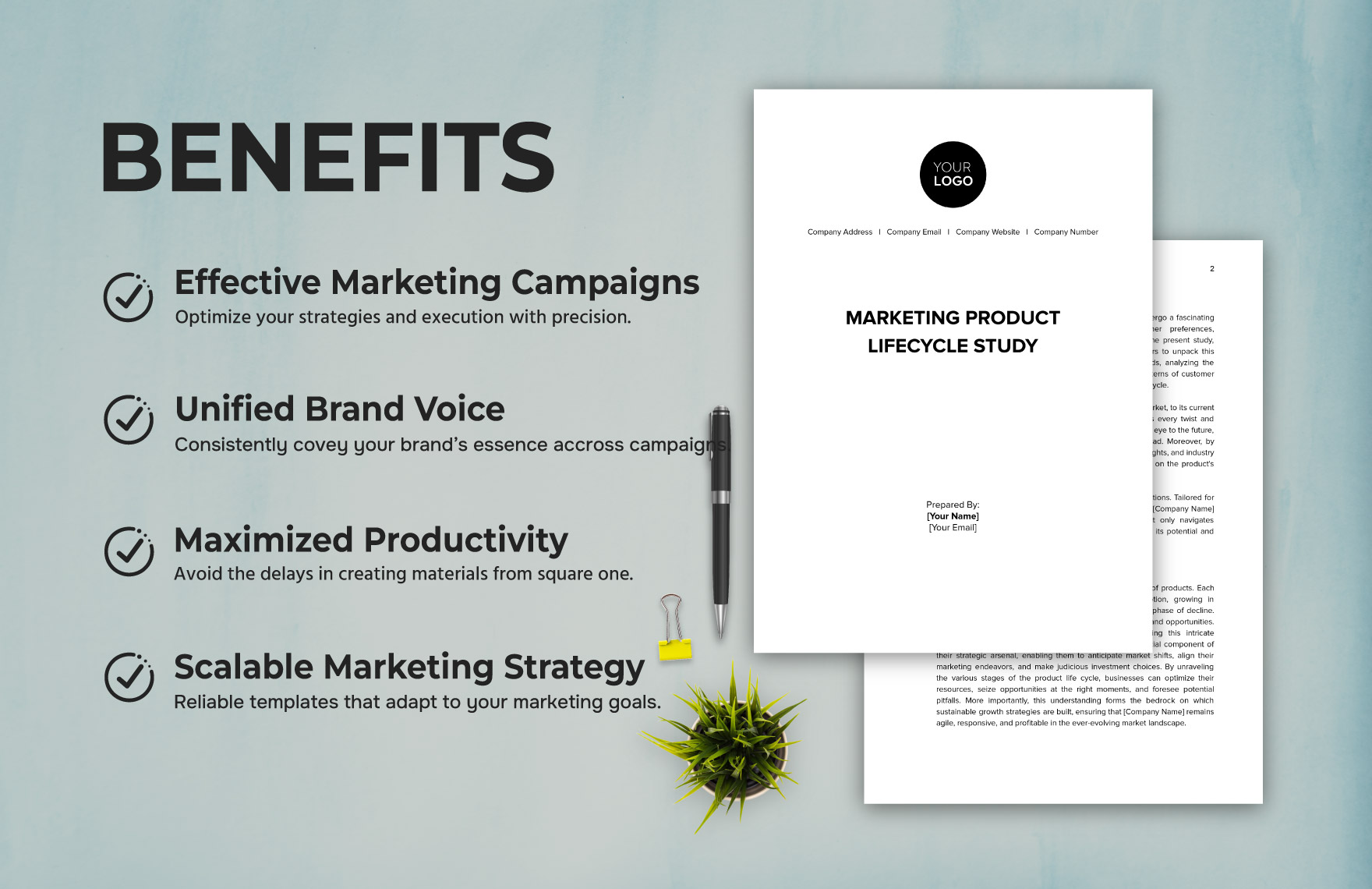 Marketing Product Lifecycle Study Template