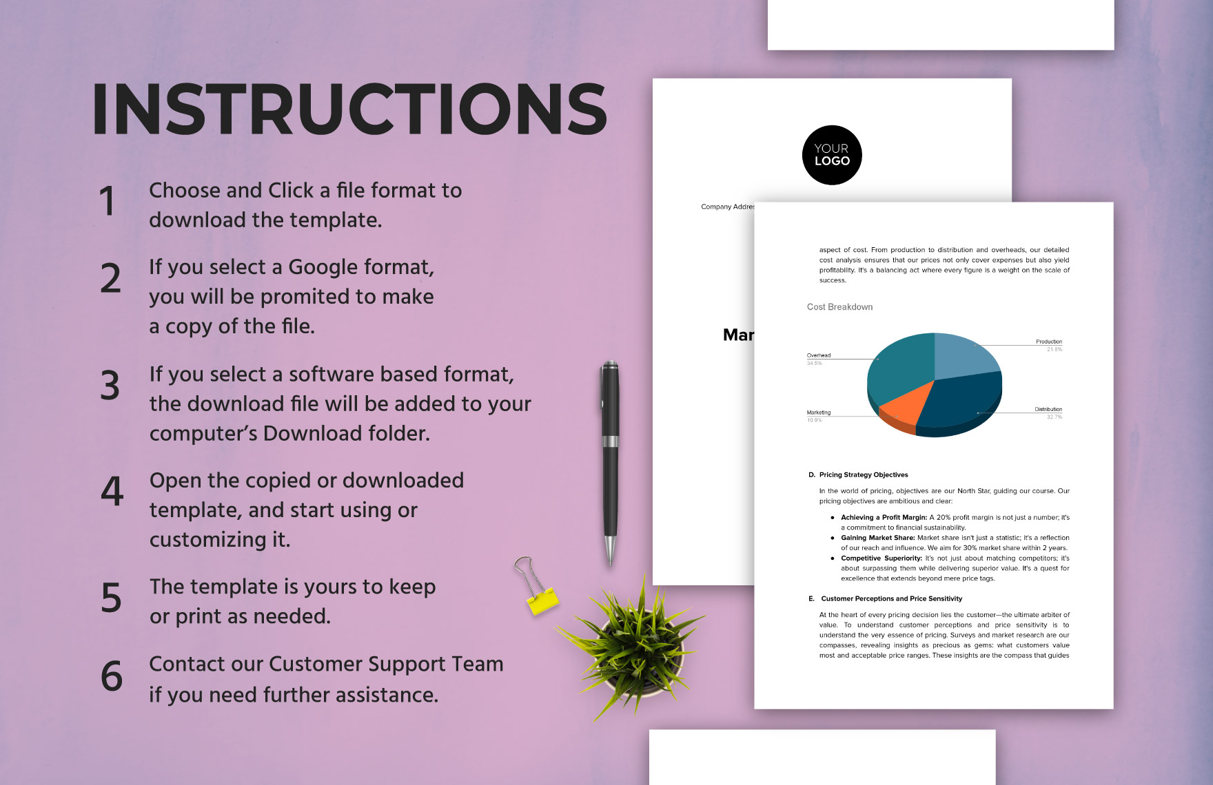 Marketing Pricing Strategy Document Template