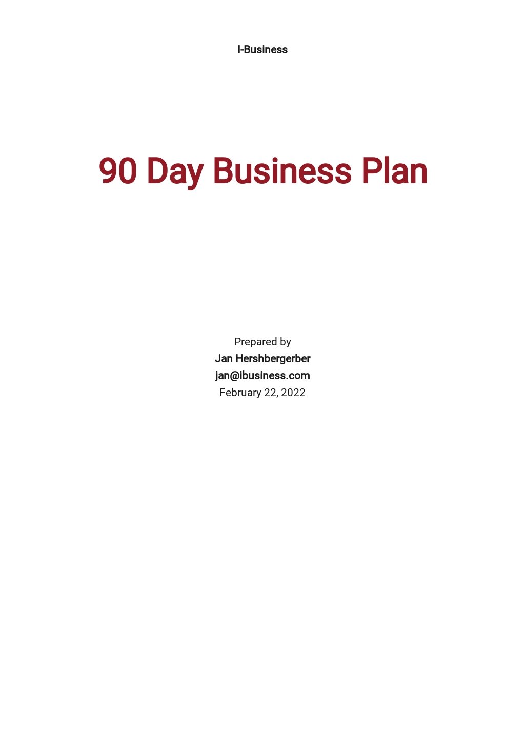 free 90 day business plan template