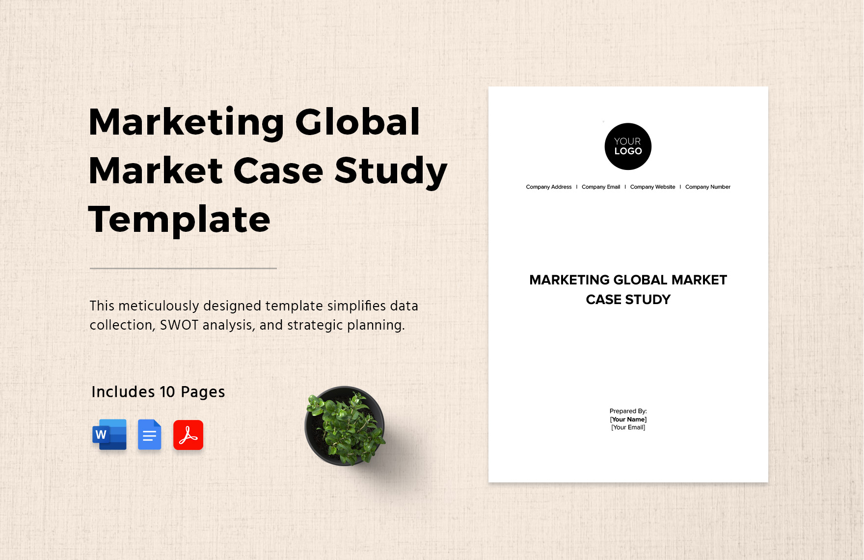 Marketing Global Market Case Study Template