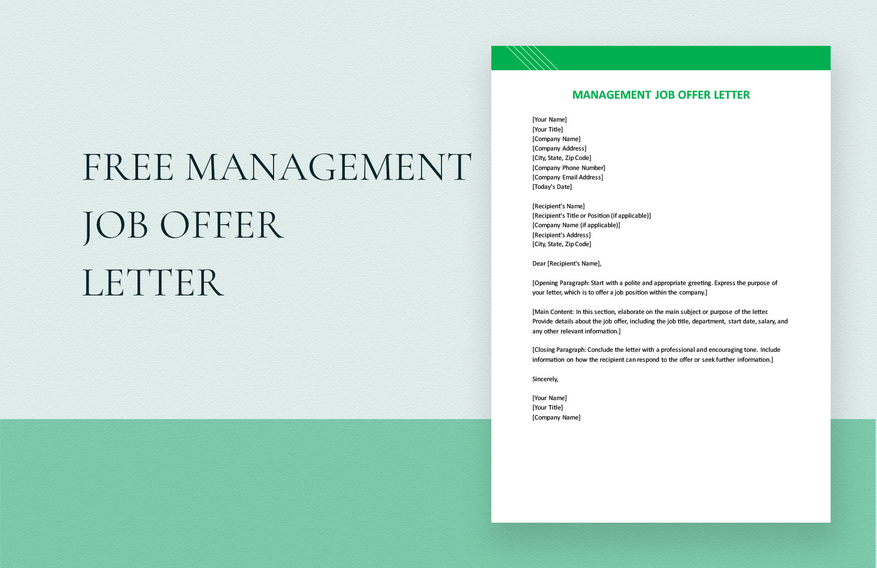 Management Job Offer Letter