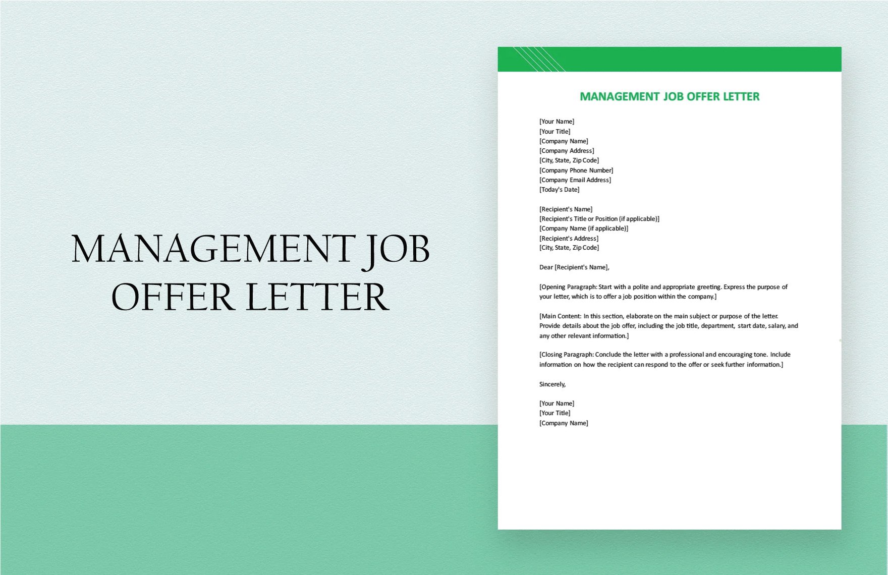 Management Job Offer Letter in Word, Google Docs, PDF