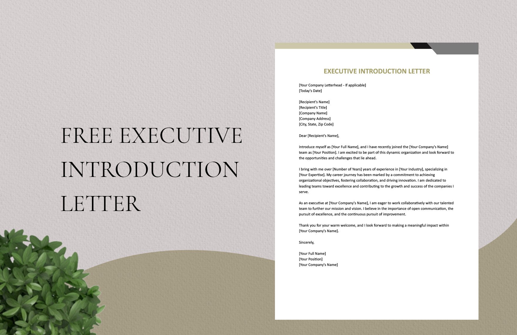 Free Executive Introduction Letter