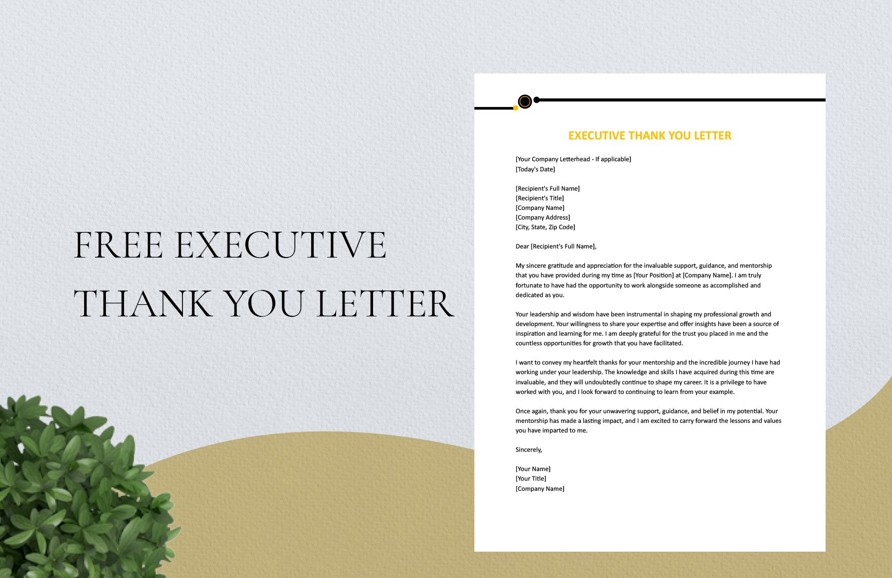Executive Thank You Letter