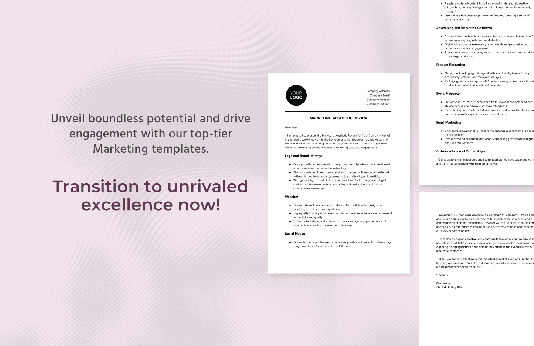 Marketing Aesthetic Review Template