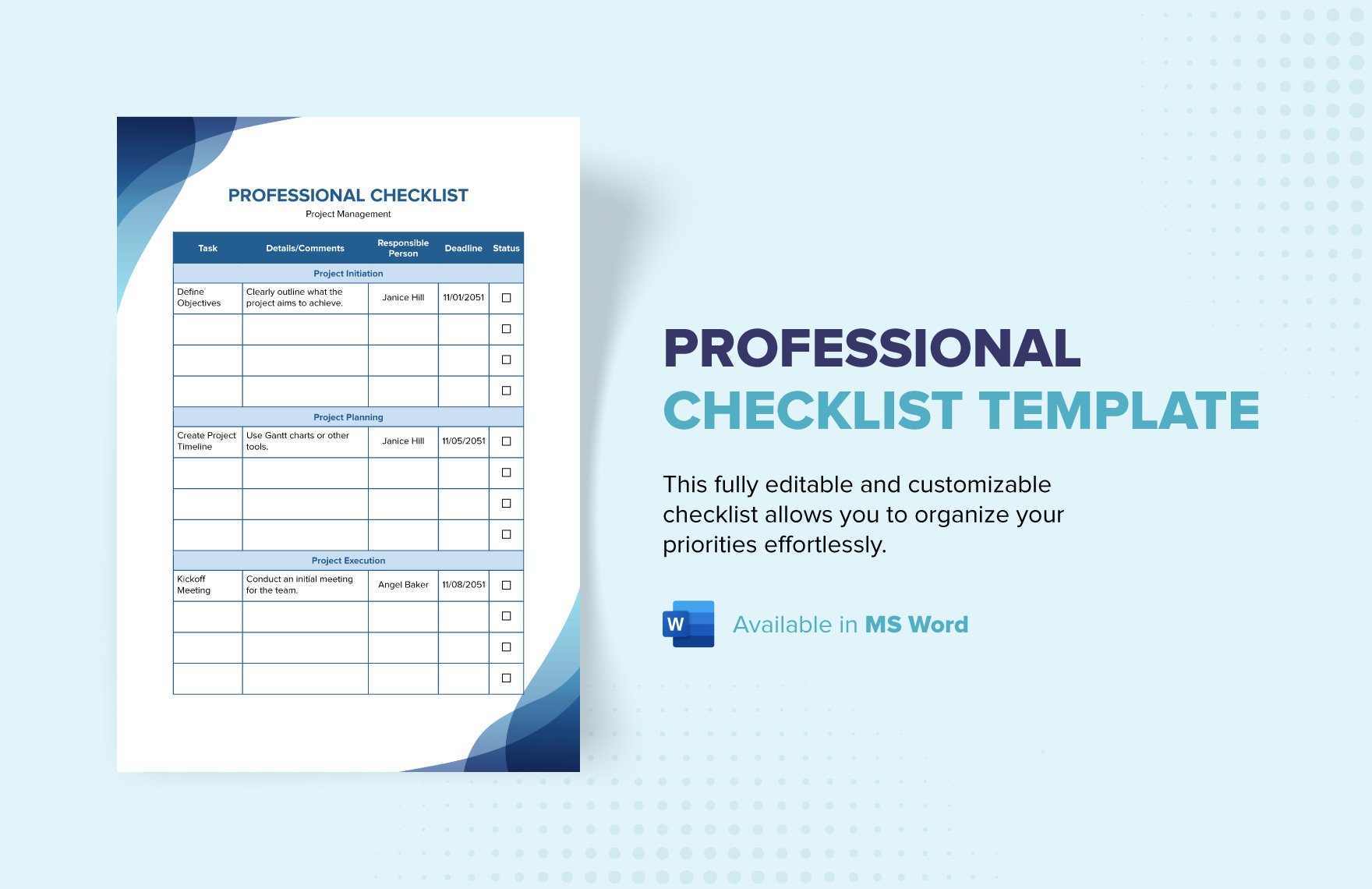 Professional Checklist Template