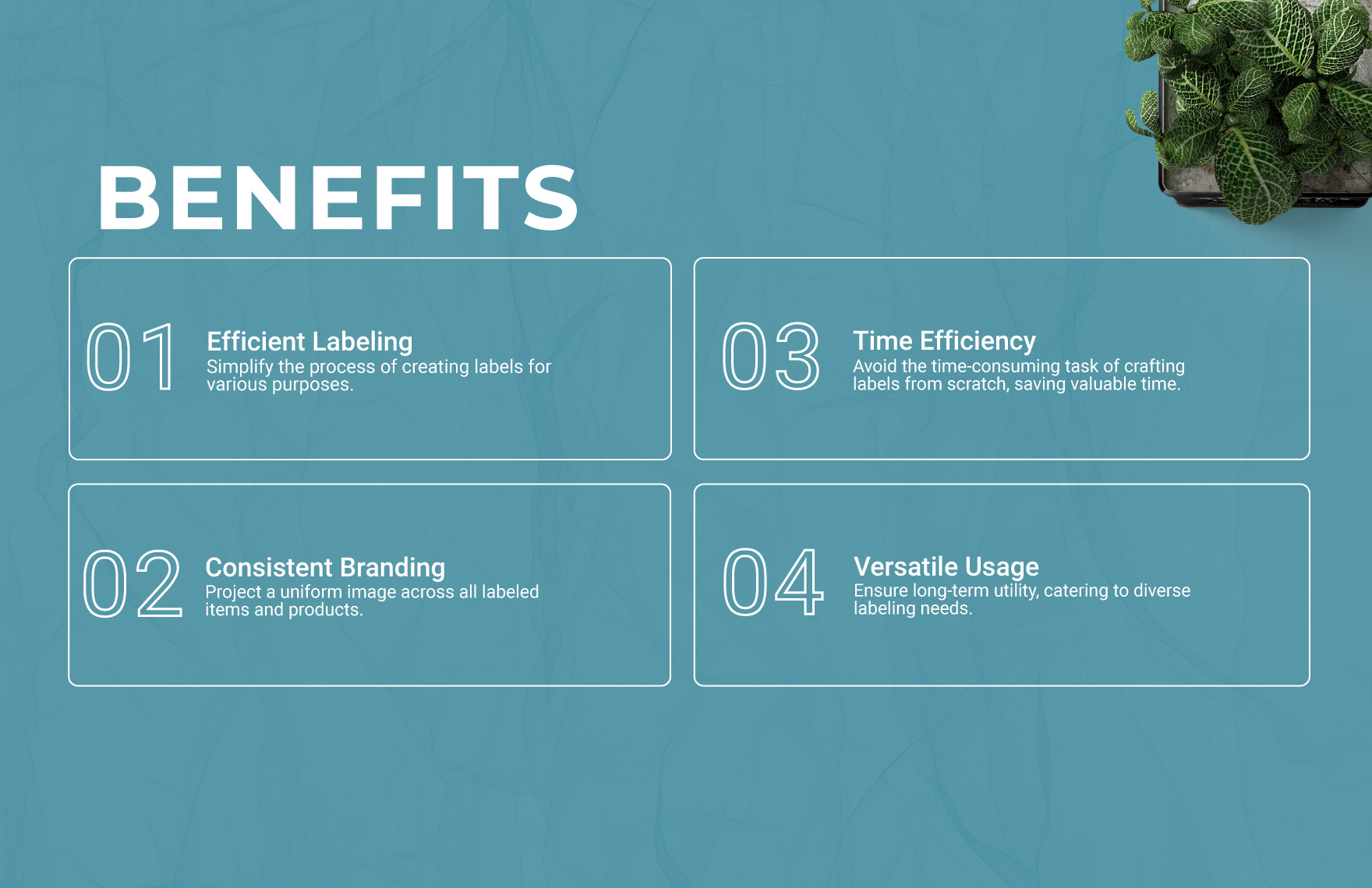 Tray Label Template - Download in Word | Template.net