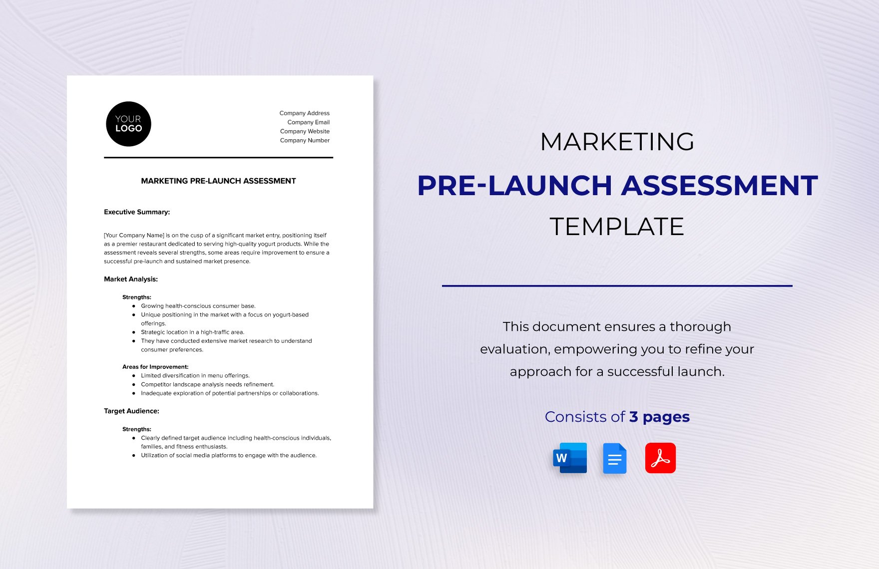 Marketing Pre-launch Assessment Template in Word, Google Docs, PDF