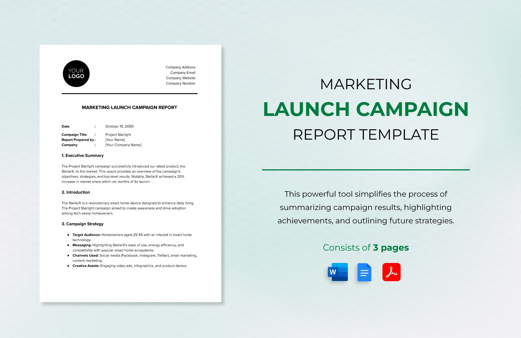 Marketing Launch Campaign Report Template in Word, Google Docs, PDF