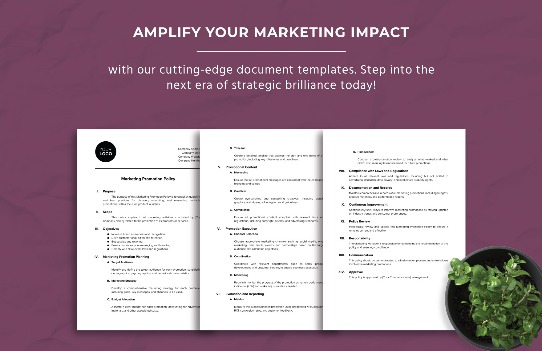 Marketing Promotion Policy Template