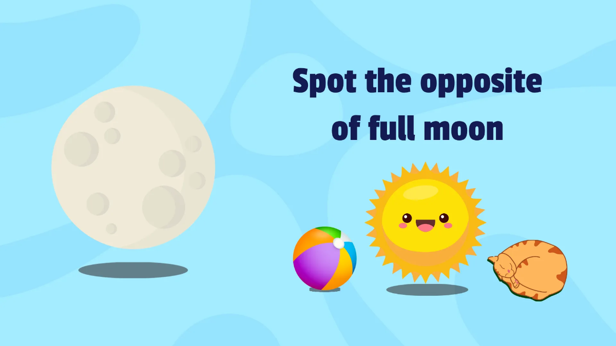 Free Learning About Opposites Template to Edit Online