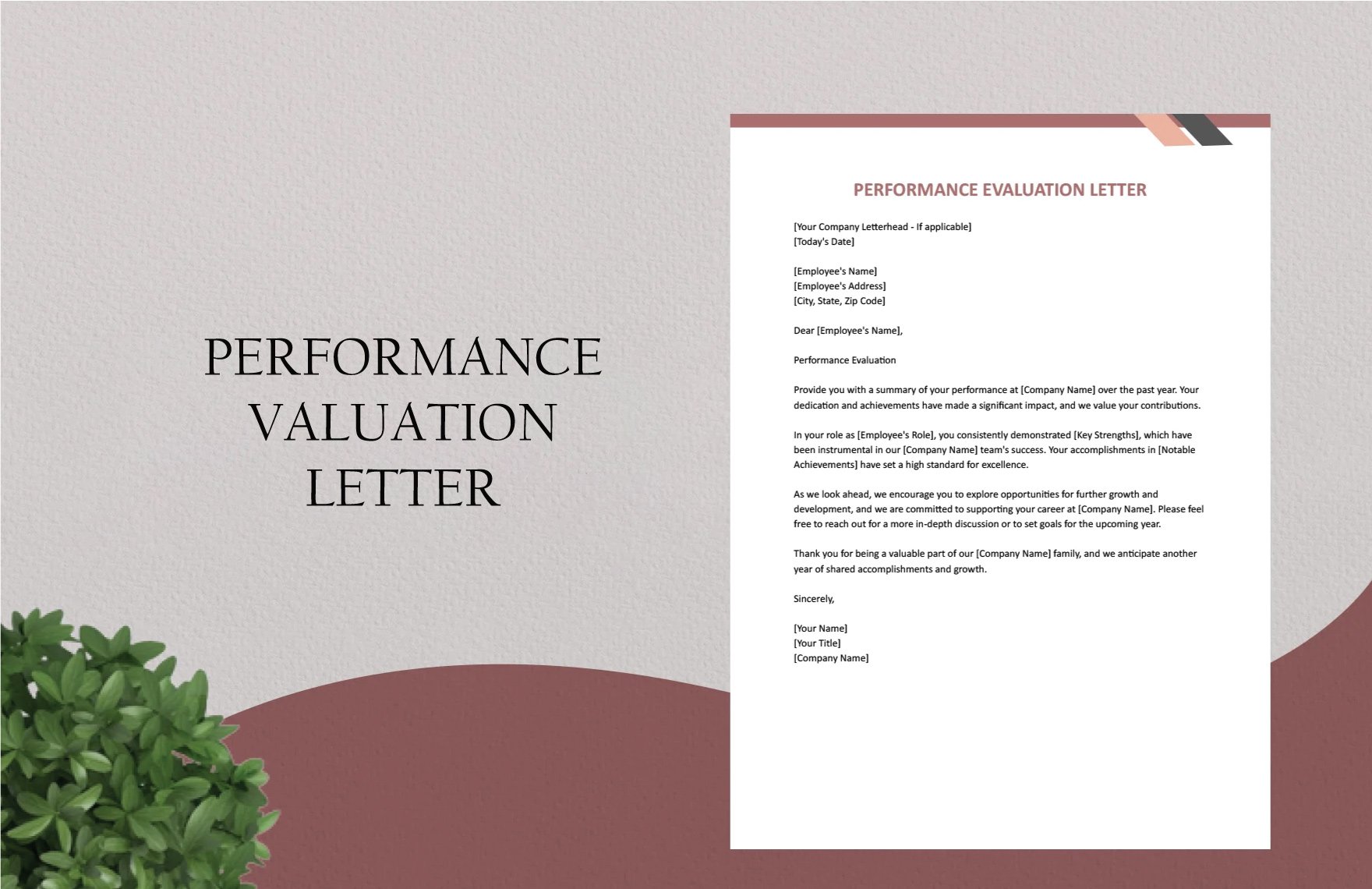 Performance Evaluation Letter