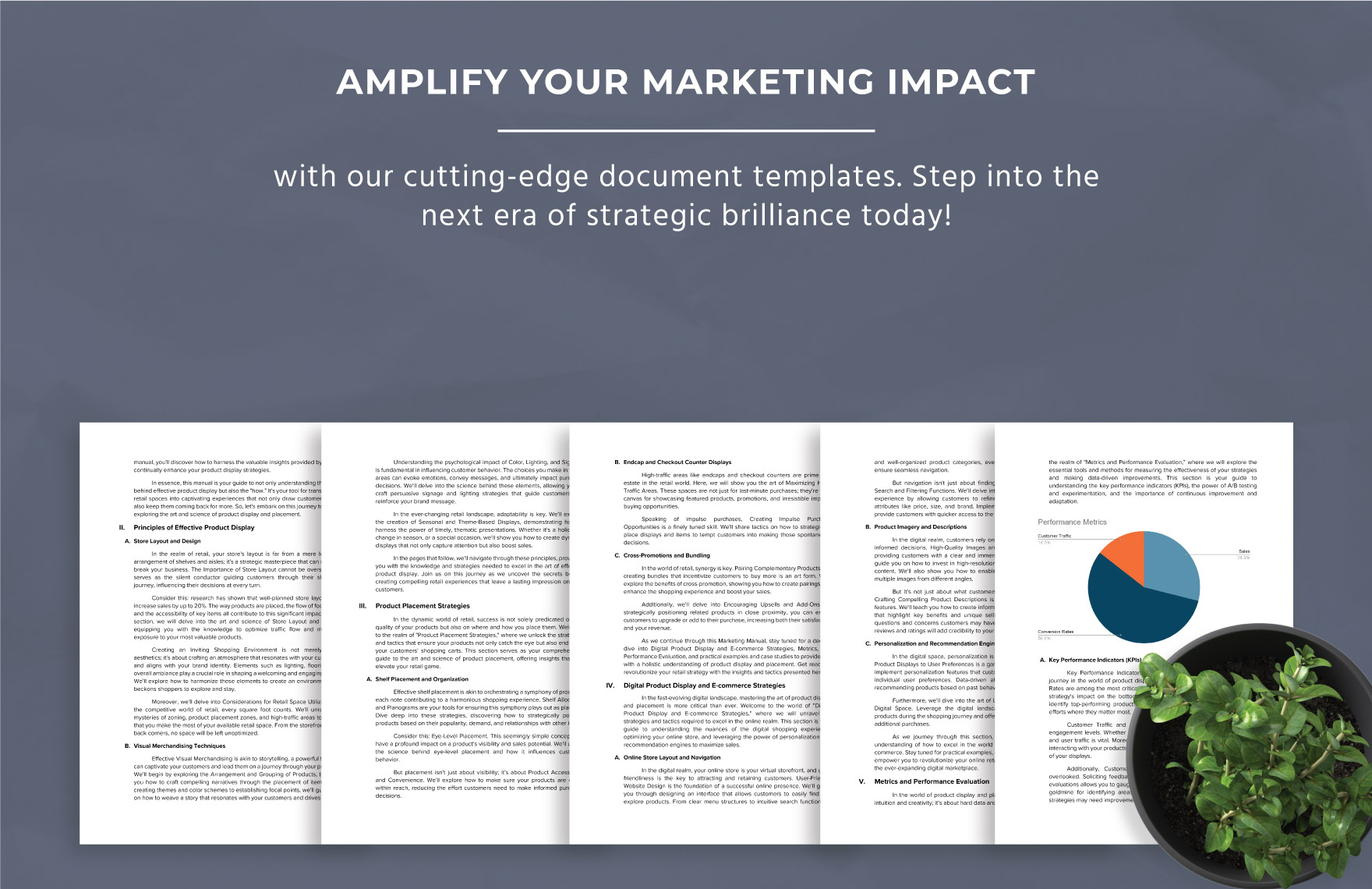 Marketing Manual for Product Display and Placement Template