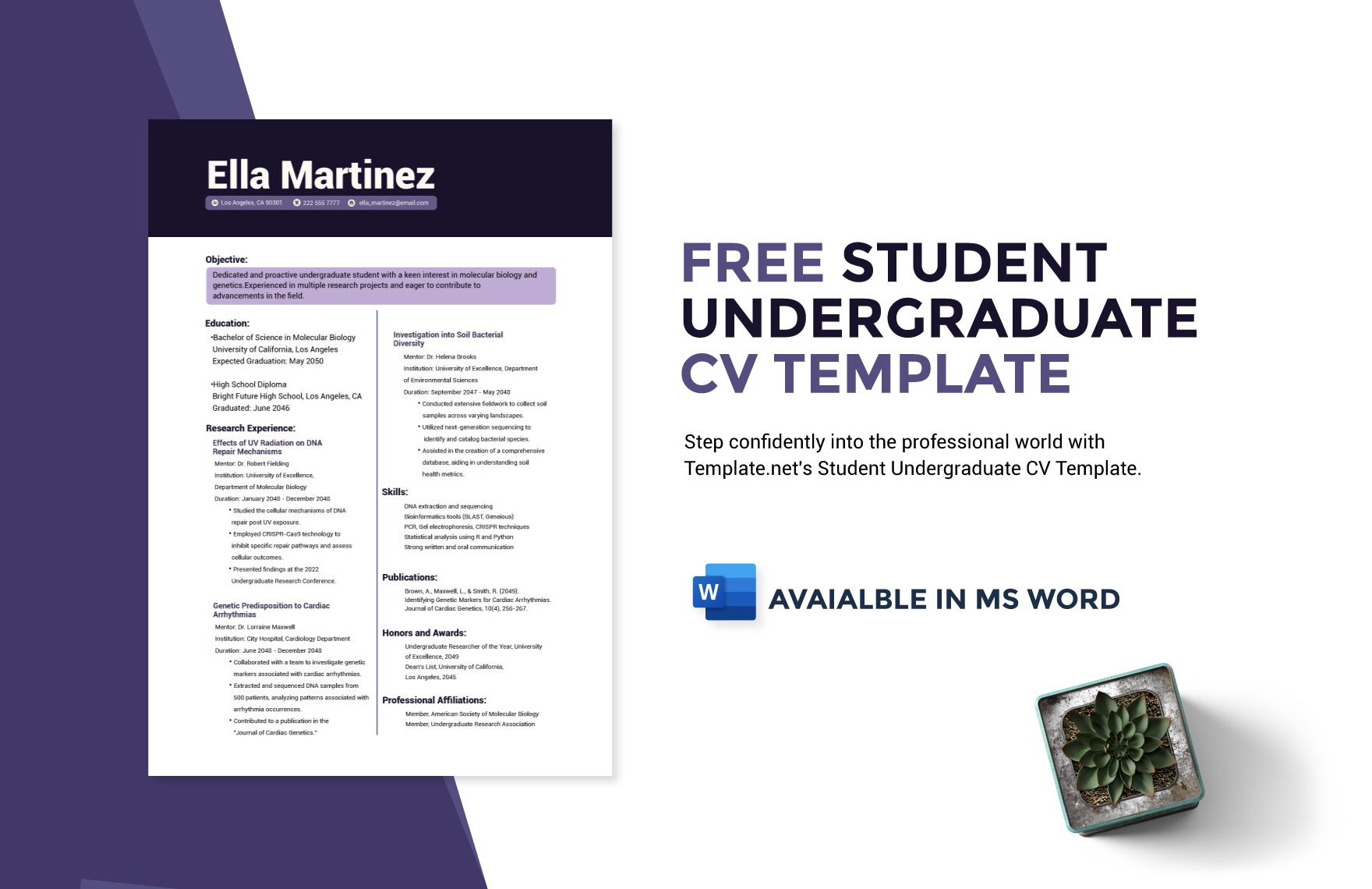Student Undergraduate CV Template