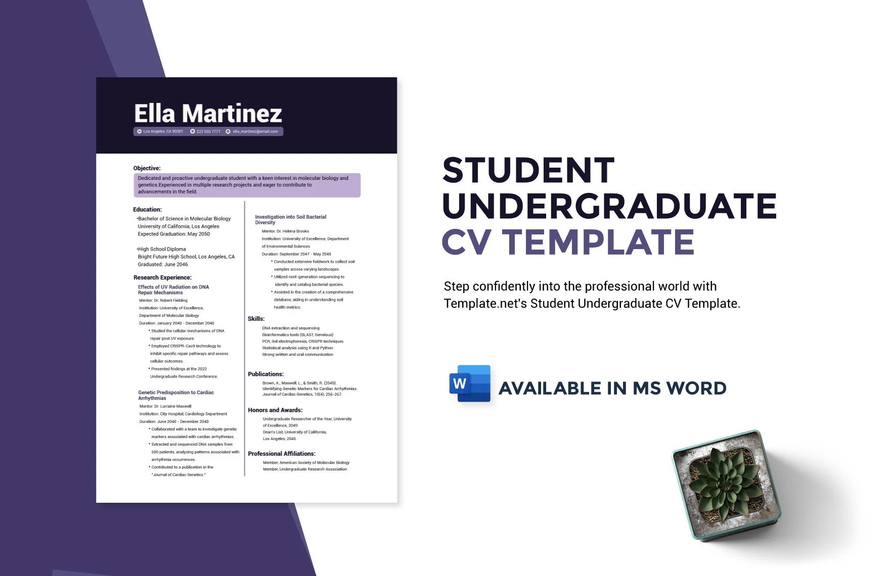 Free Student Undergraduate CV Template in Word