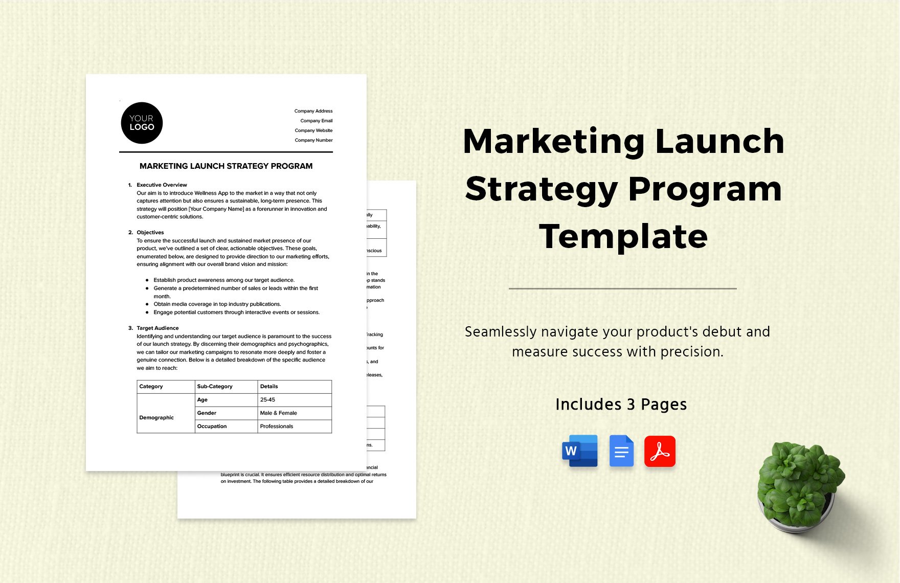 Marketing Launch Strategy Program Template in Word, Google Docs, PDF