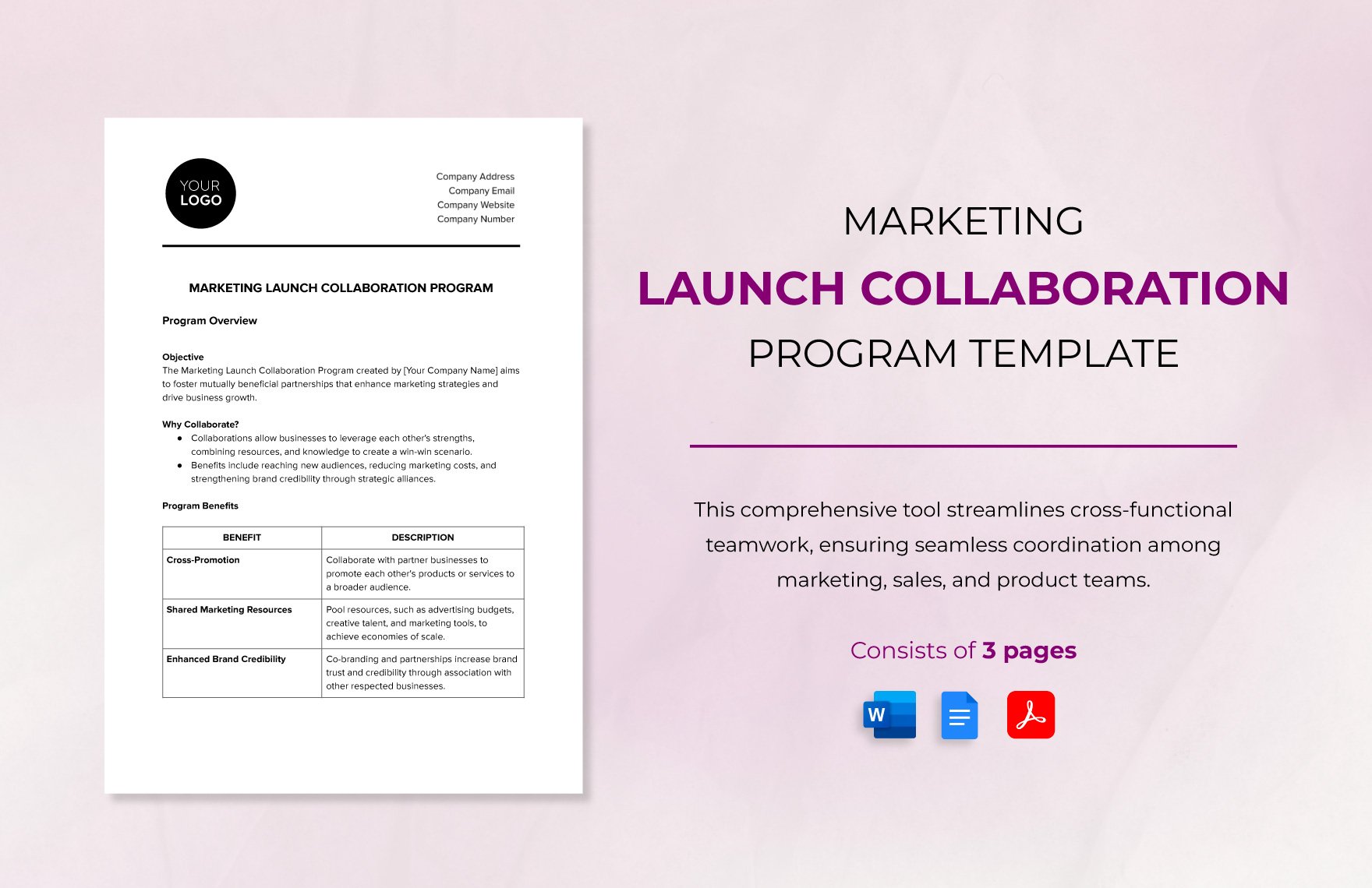 Marketing Launch Collaboration Program Template in Word, Google Docs, PDF