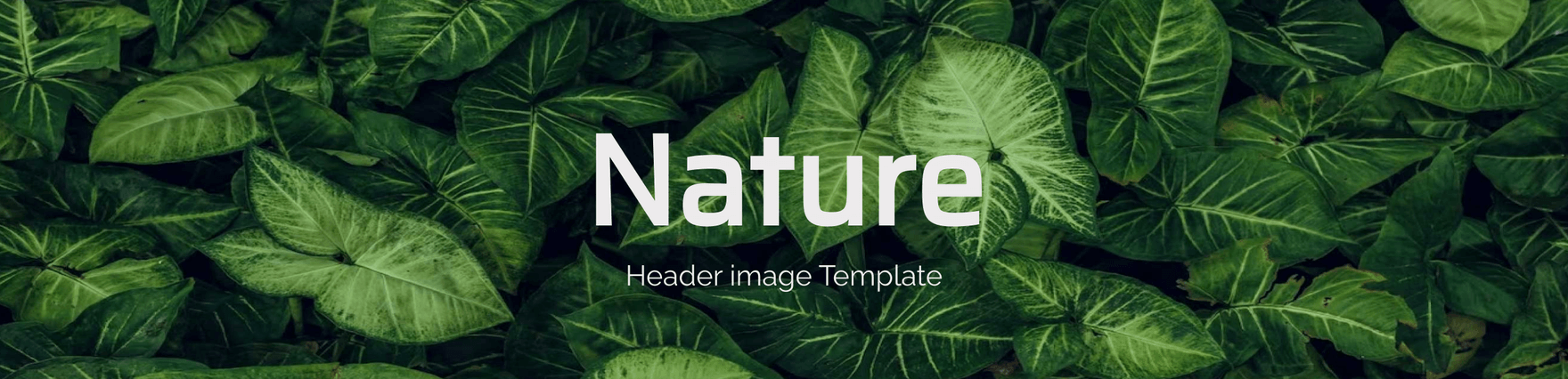 Nature Header Image Template
