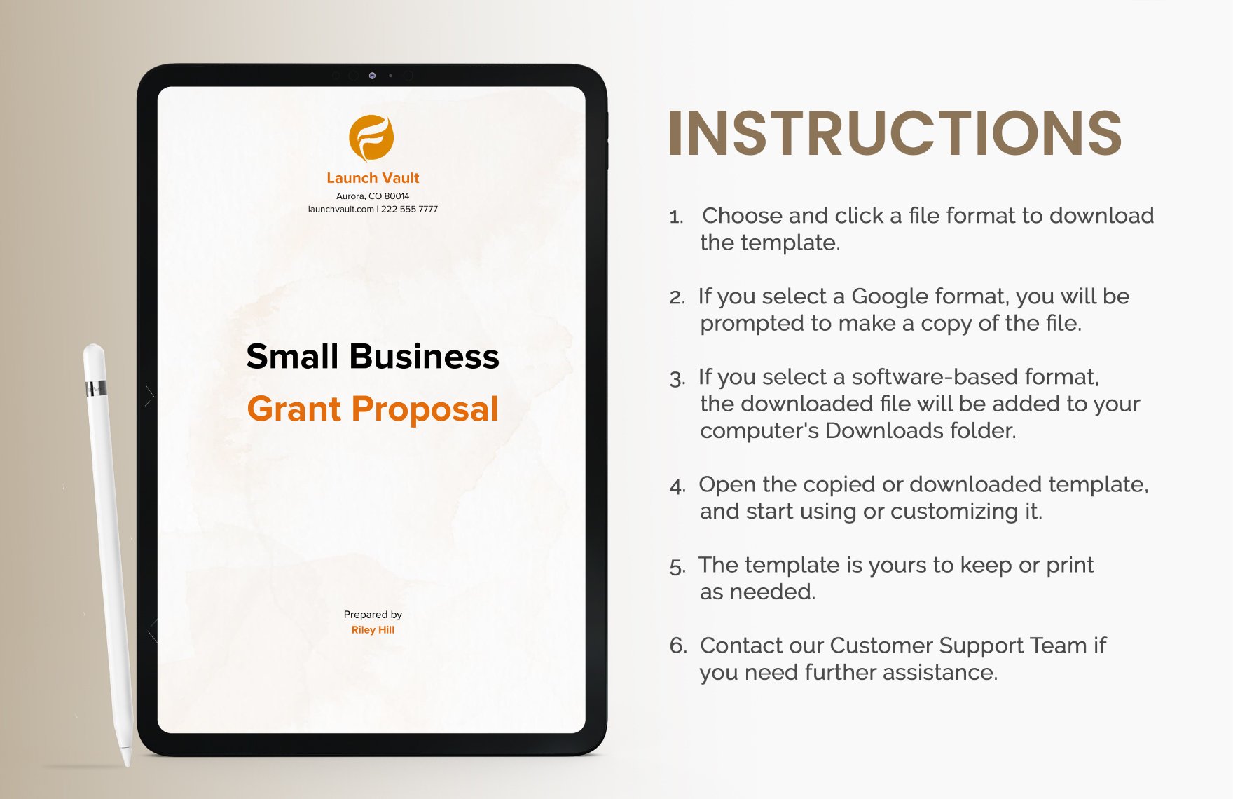 Small Business Grant Proposal Template