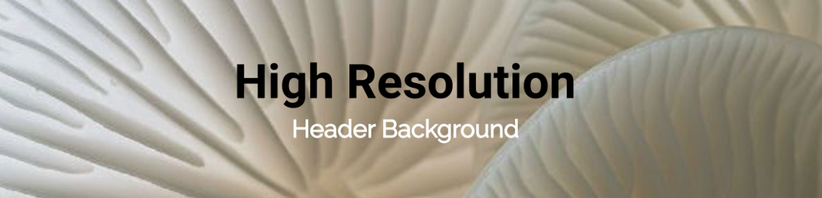 Free High Resolution Header Background Template