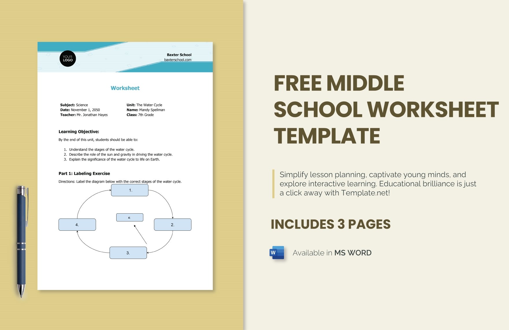 Free Middle School Worksheet Template in Word