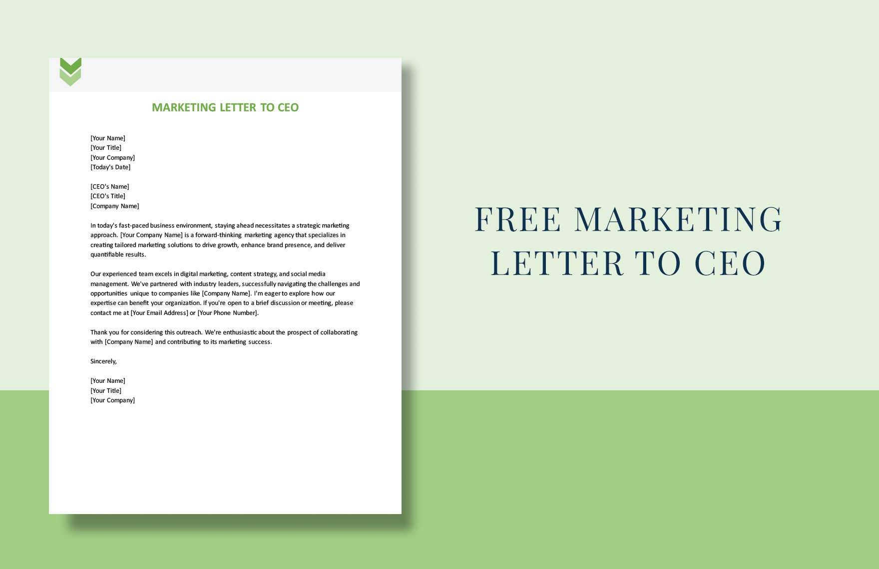 Marketing Letter To CEO in Word, Google Docs, PDF